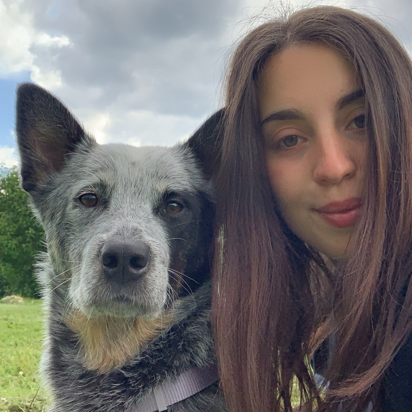 Modulo pre-consulenza