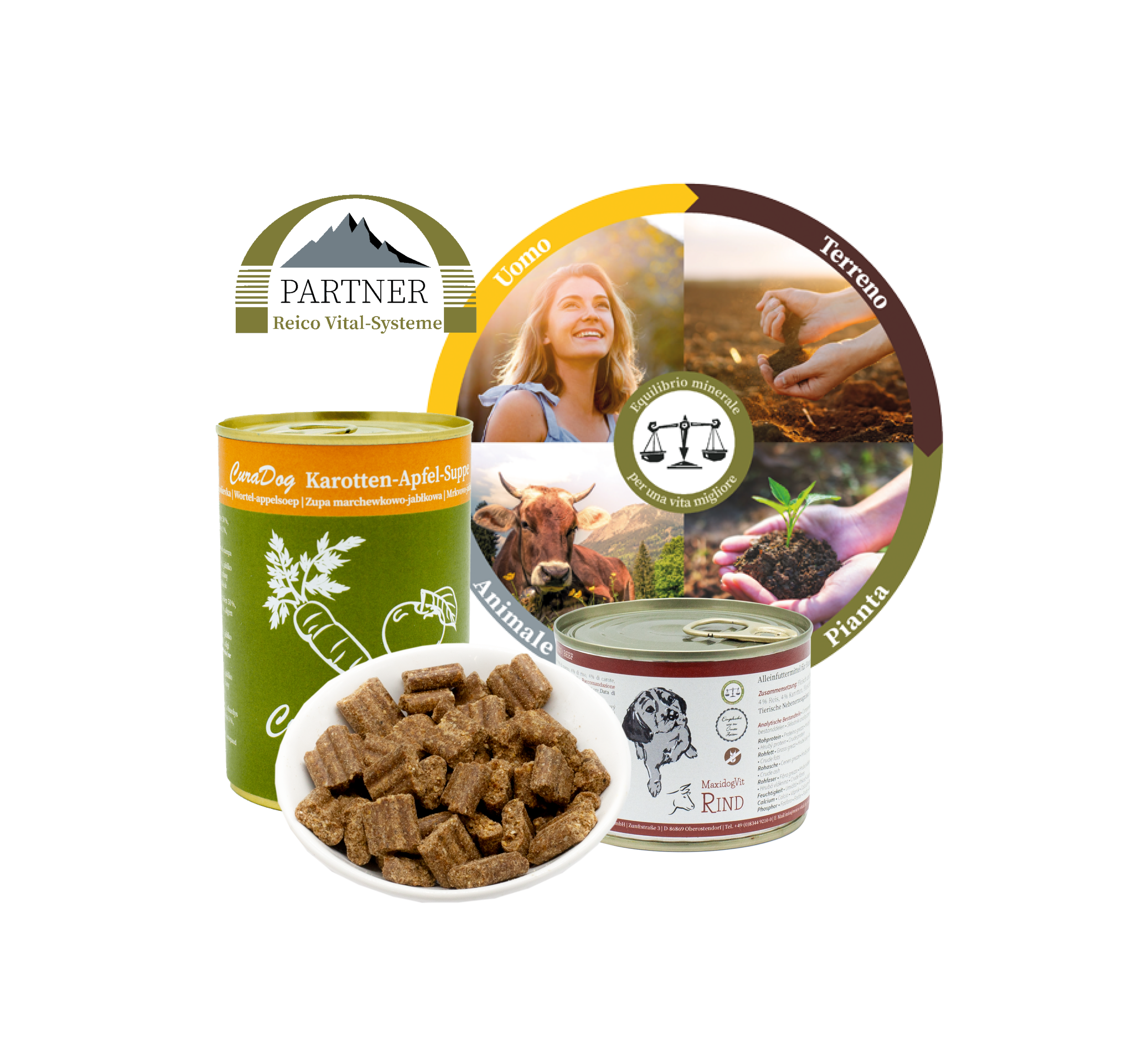 Modulo pre-consulenza